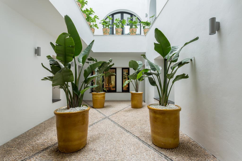 Mate Valeria 4* Málaga